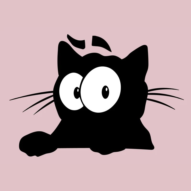 Chat noir 6 chat