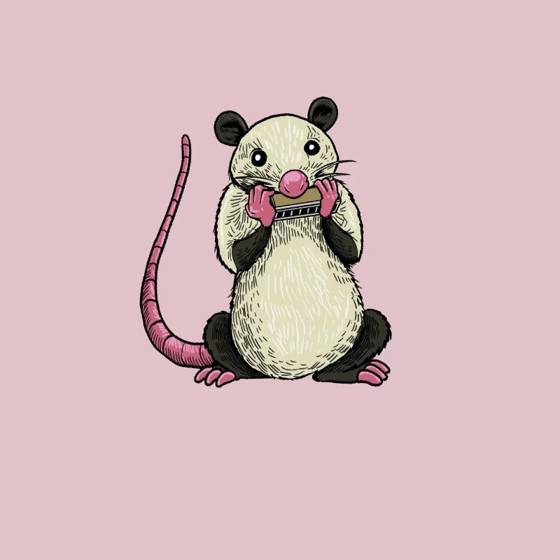 Opossum plays harmonica