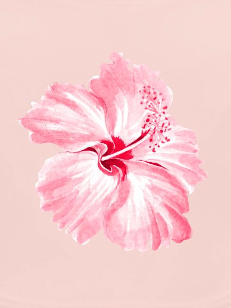 Blume