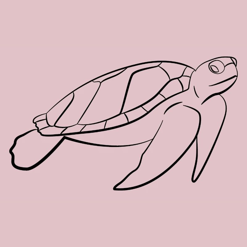 turtle