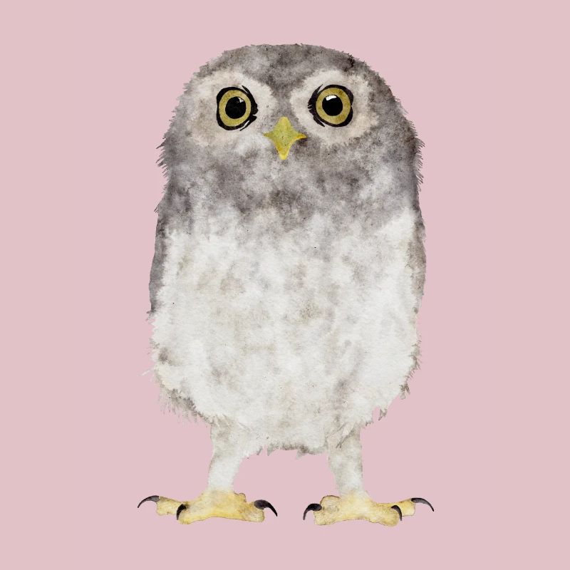 Eule