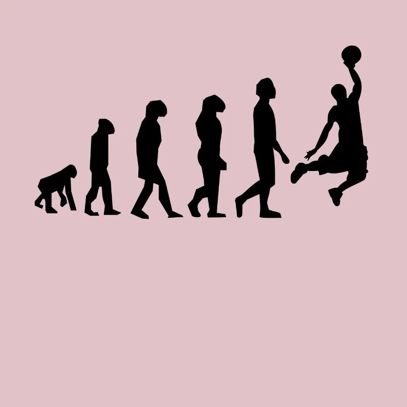 ÉVOLUTION BASKET