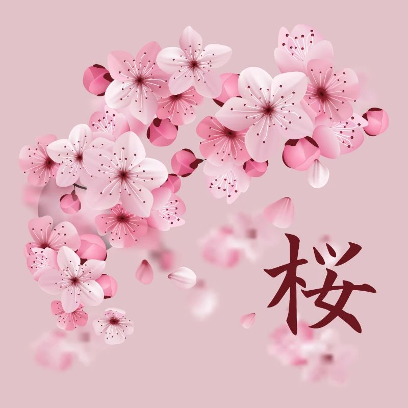 Japanese Cherry Blossoms - Sakura