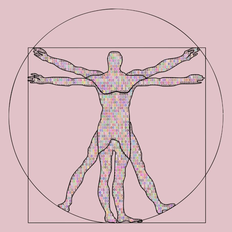 Da Vinci Programmeur Idée de cadeau