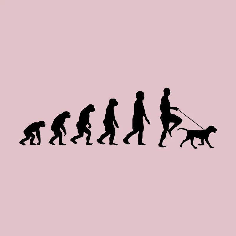 Labrador Evolution