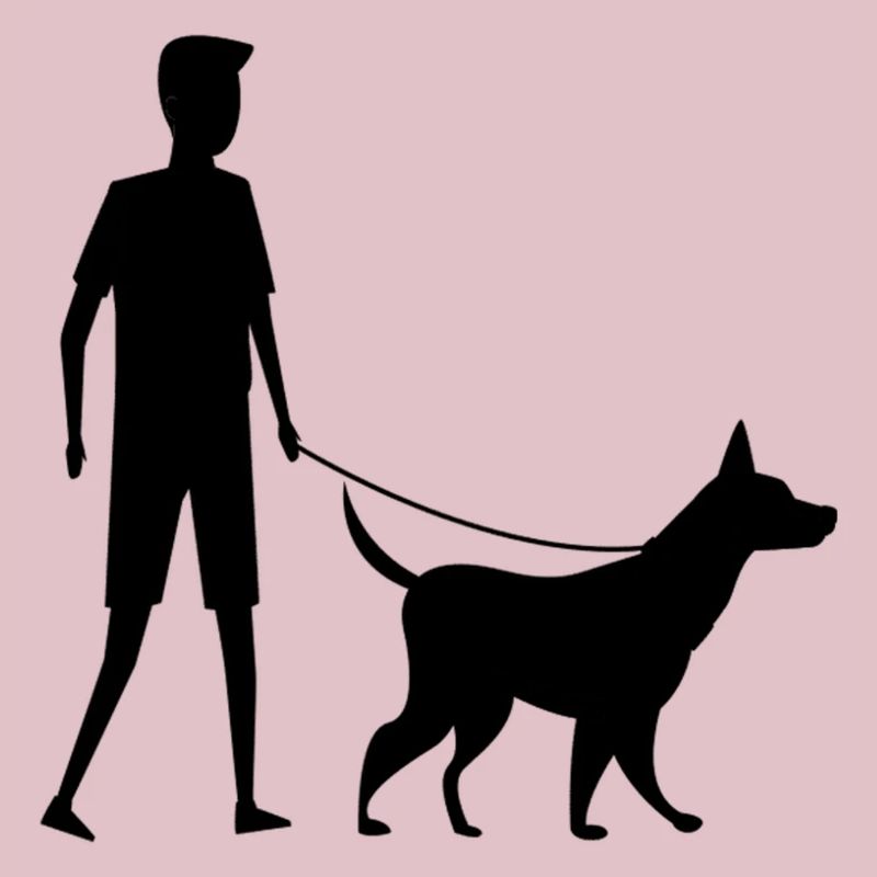 Marcher avec mon Chien Marche