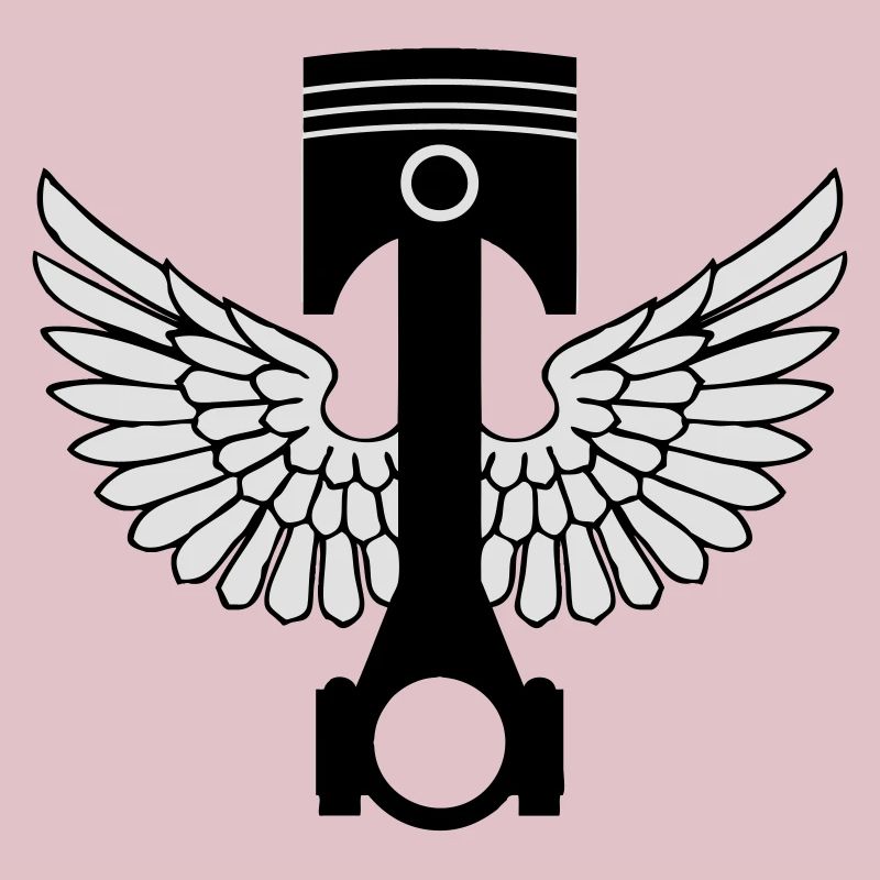 piston and rod