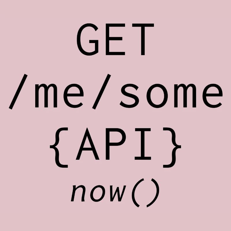 Api Programming Informatic Geschenk Spruch