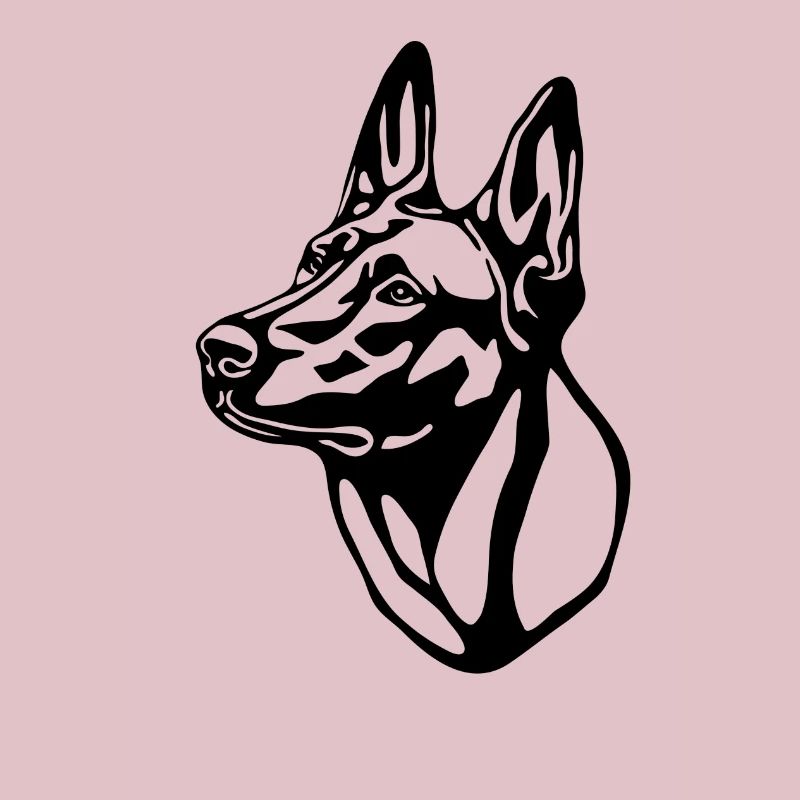 2 Malinois withoutBackground text