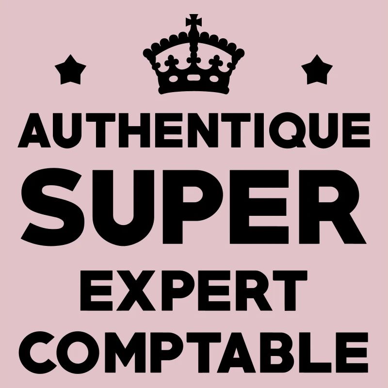 Expert Comptable / Comptabilité / Comptable /