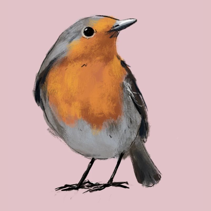 robin