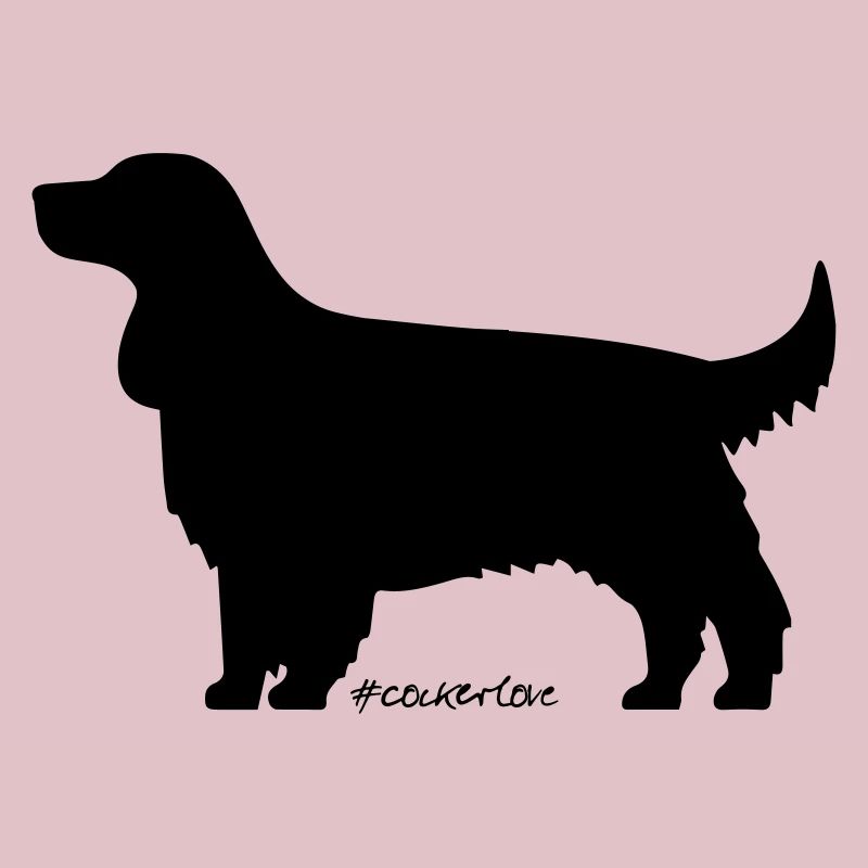 amour cocker