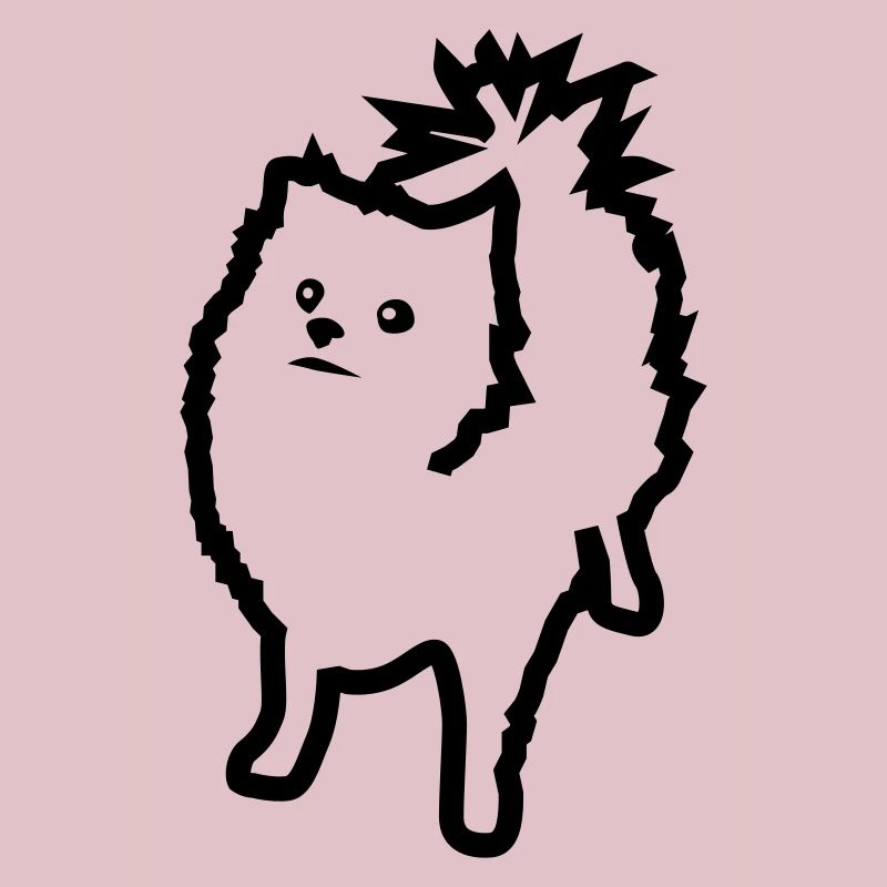 Spitz