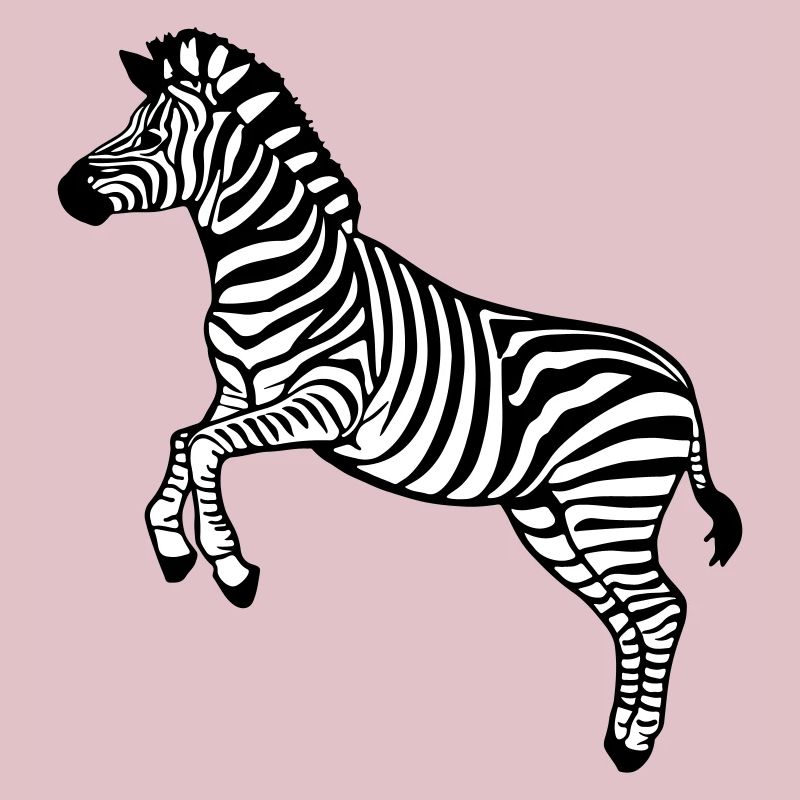 zebra Botswana Zèbre des plaines