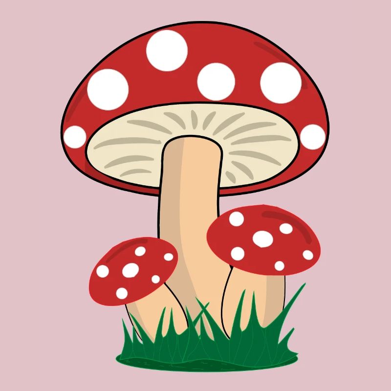 Mushrooms toadstools boletus forest mushroom picking