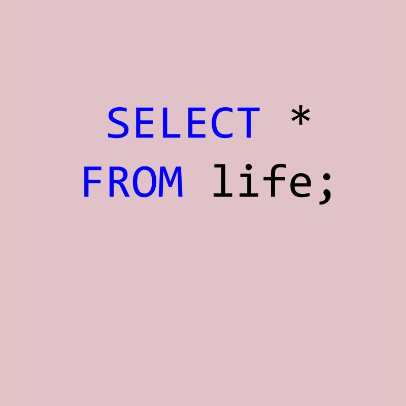 SELECT everything from life- SQL programmer gift