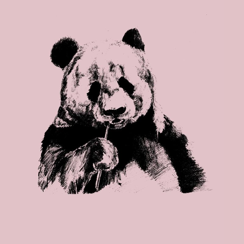 Panda noir
