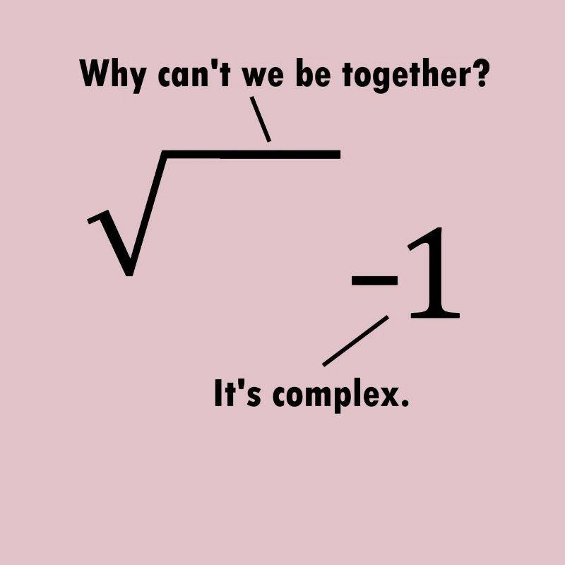 Math joke mathematician gift nerd teacher