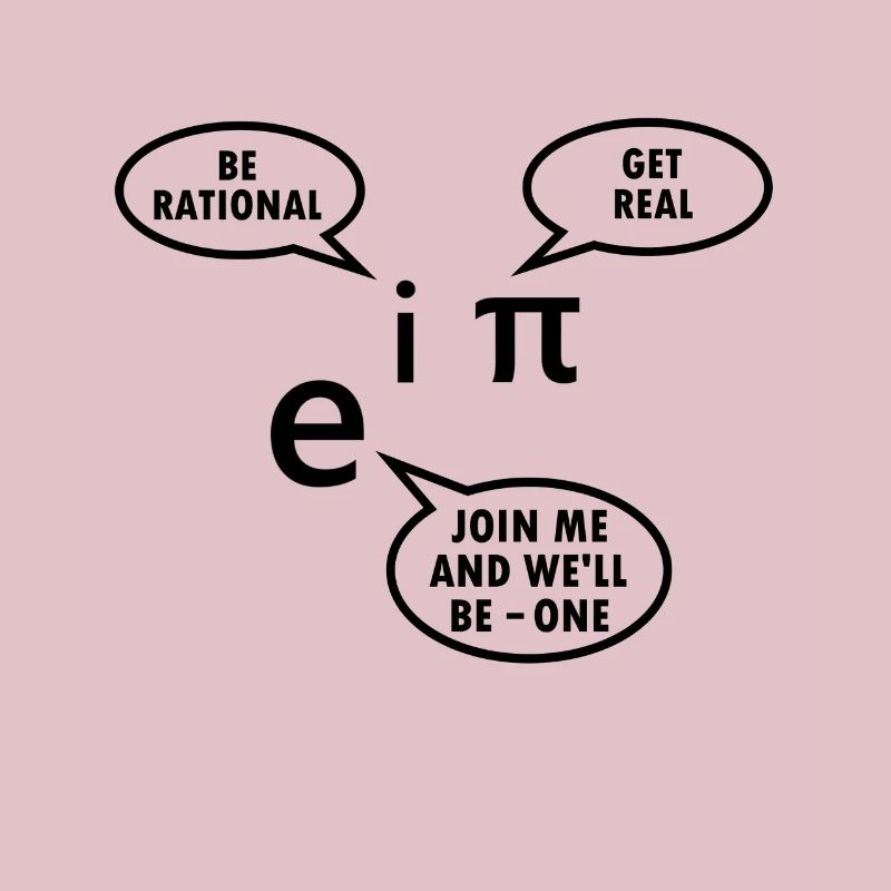Mathematiker Geschenk Mathe Lehrer Nerd Euler Pi