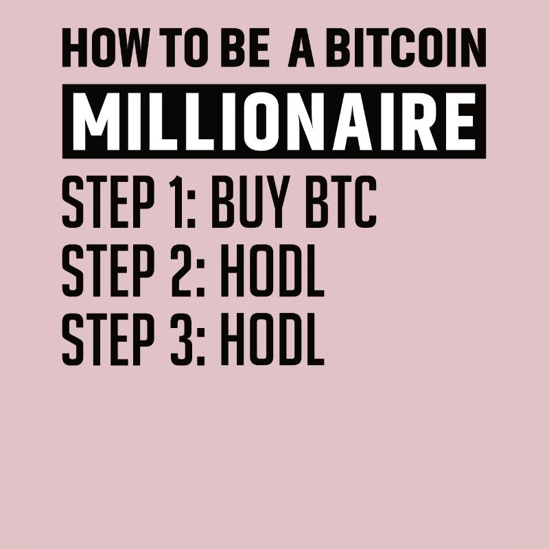 Bitcoin Plan B BTC Satoshi Crypto Hodl Maximalist
