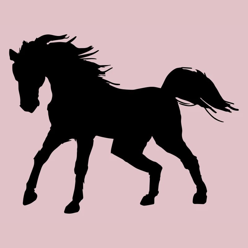 Ombre de cheval