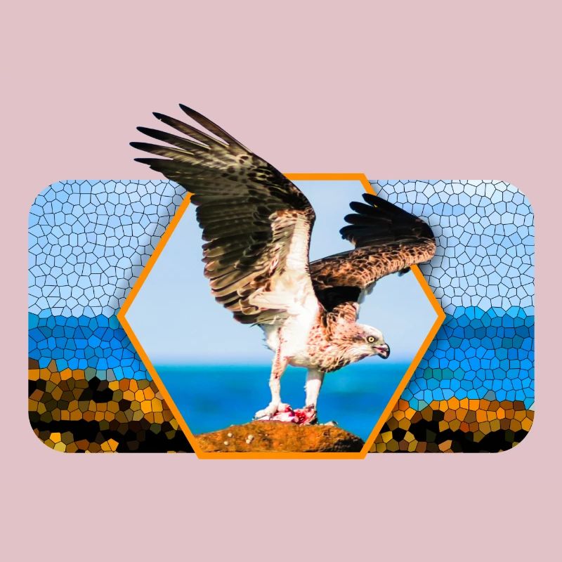 Eagle with spread wings and graphic shape