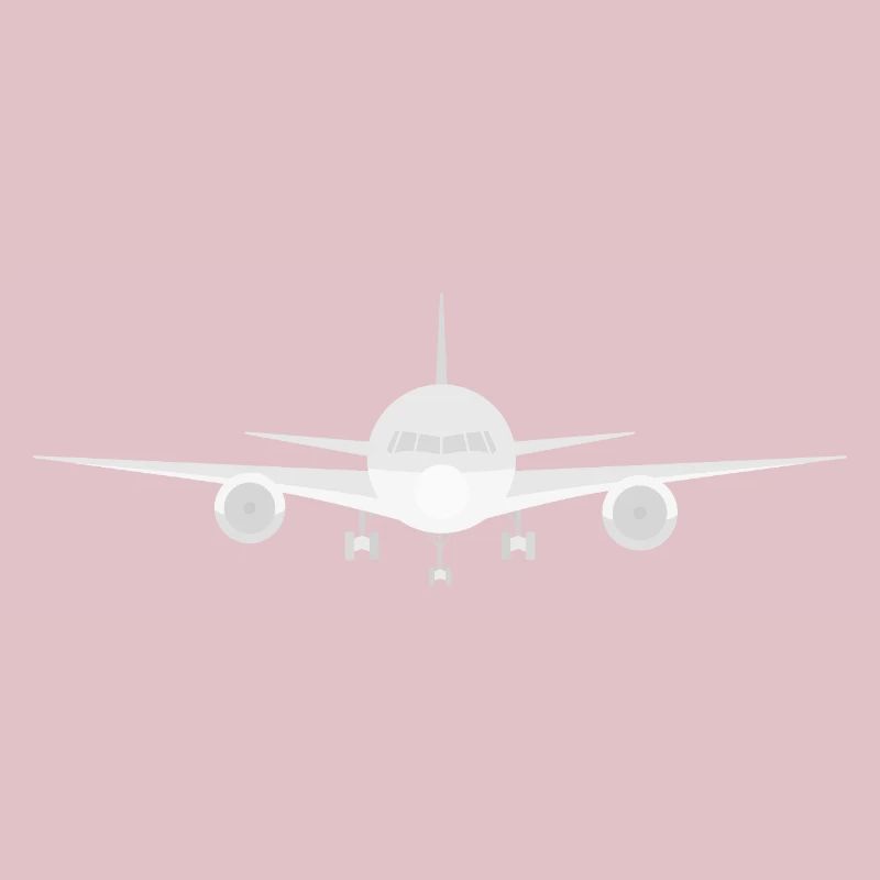 Fogg - plane