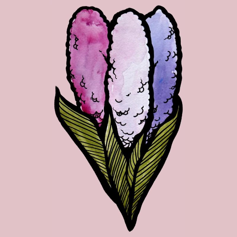 Jacinthe de printemps