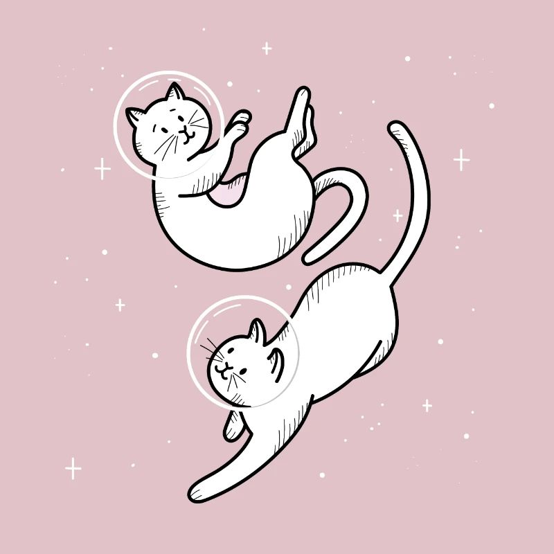 Conception de l'espace chats