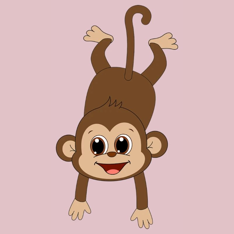 funny monkey