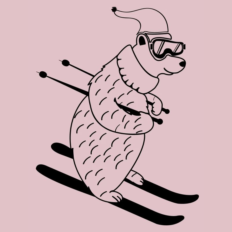 ski baer 01
