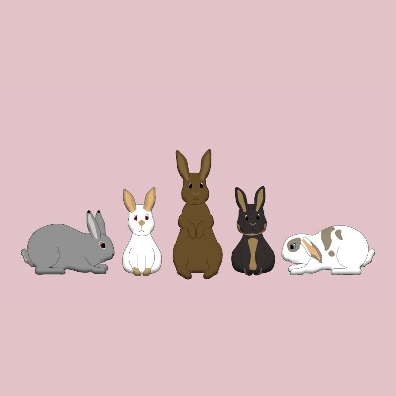 5 lapins