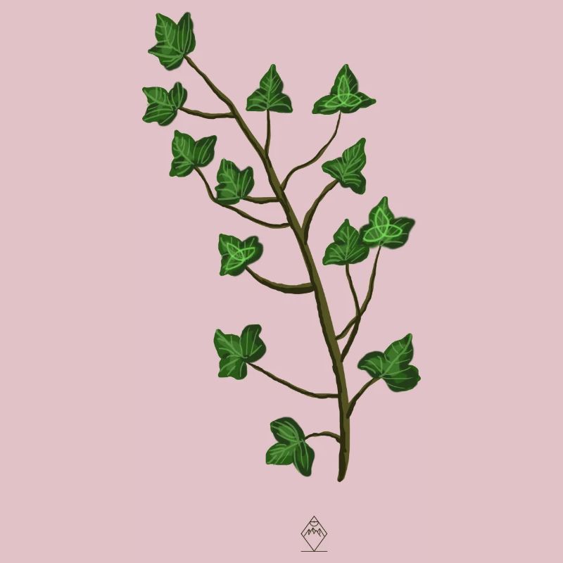 Efeu Trinity