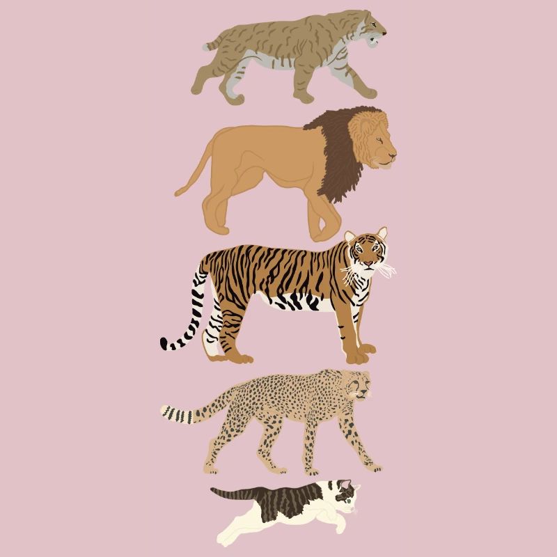 Evolution Chat Lion Guépard Vertical multicolore