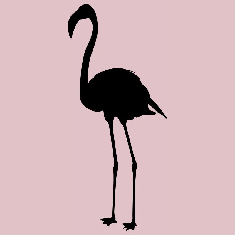 Flamingos 6