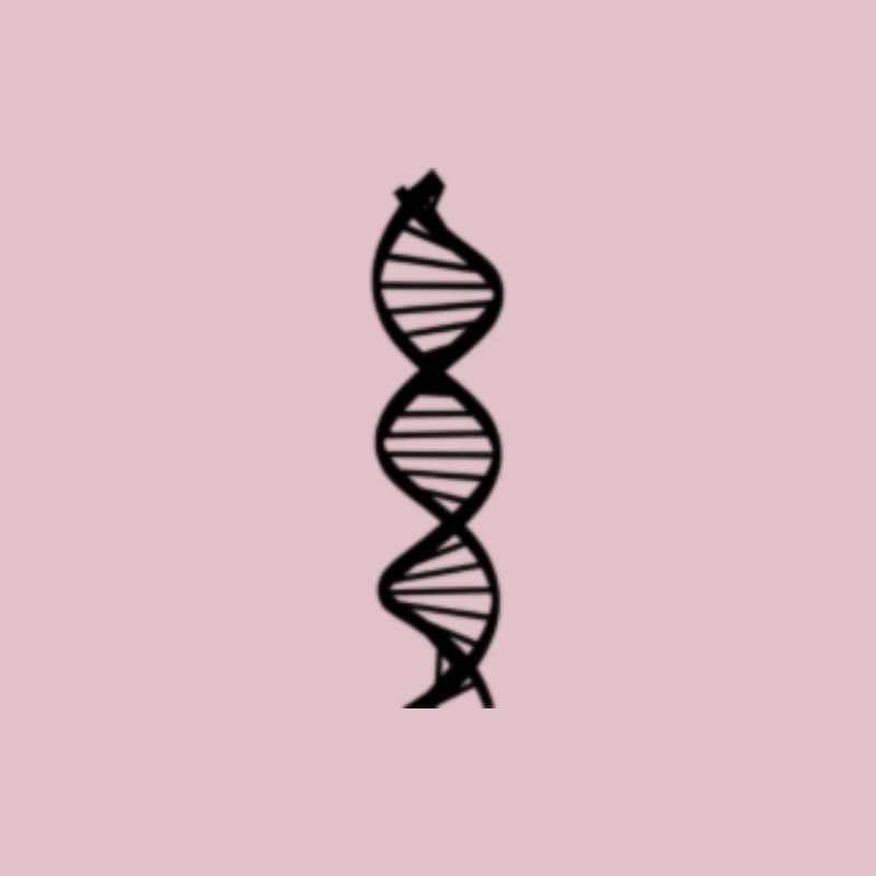 Dynamic Genome in black for biologists