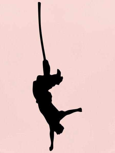 bungee springen