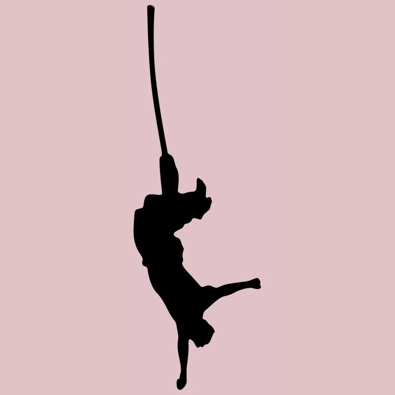 bungee springen