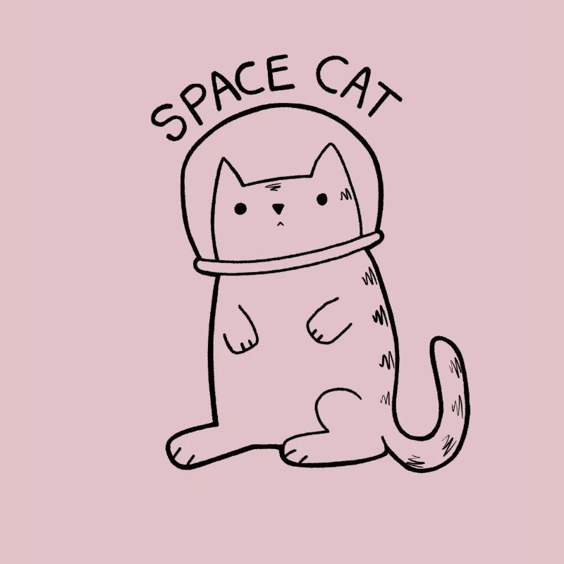 Chat de l'espace