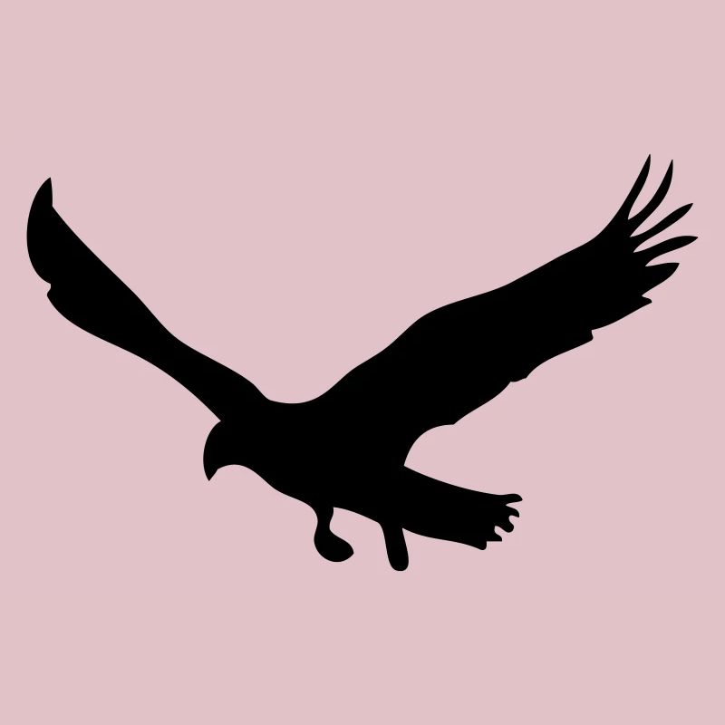 aigle
