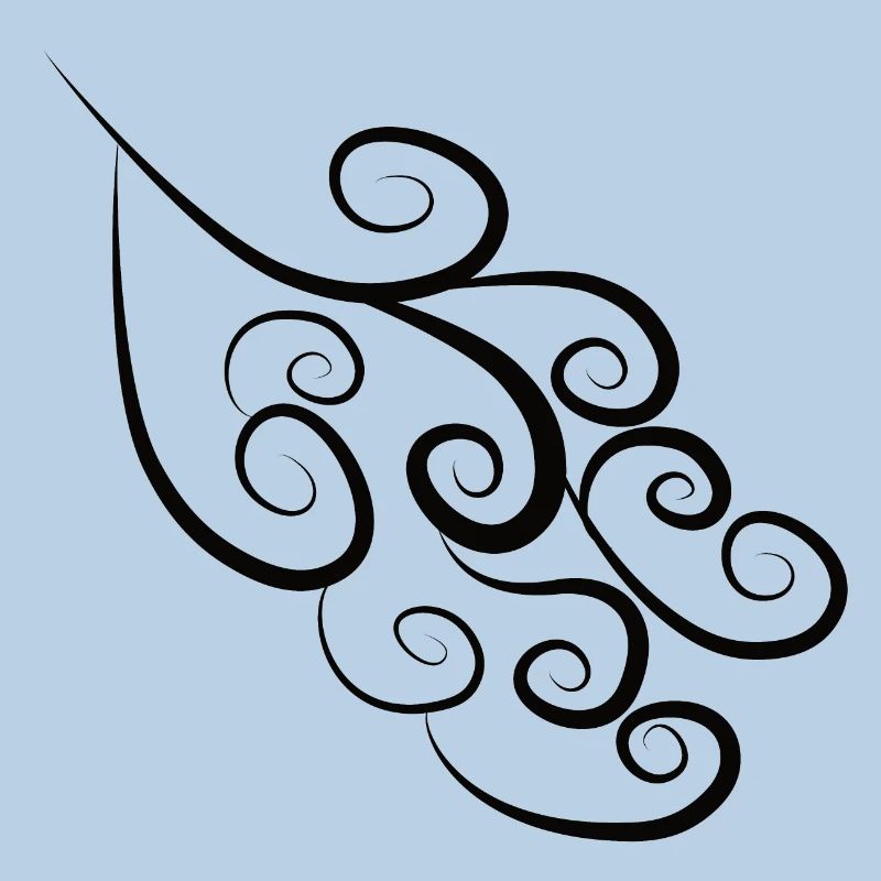 Pattern Spirals Black