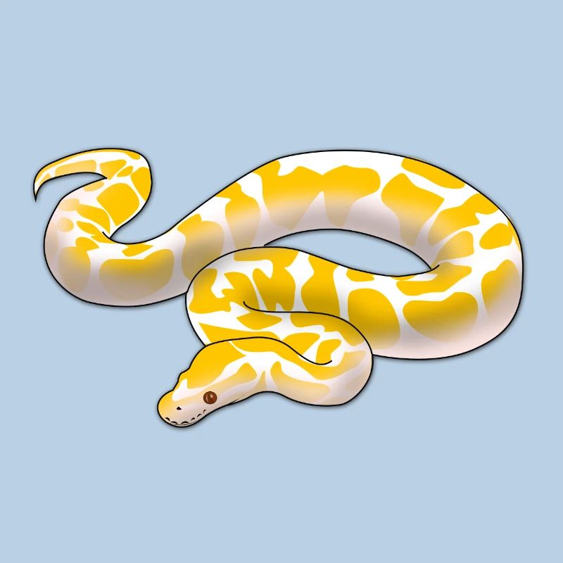 Albino ball python Python regius ballpython motif