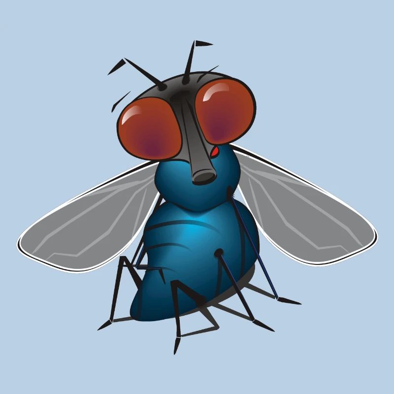 fliege