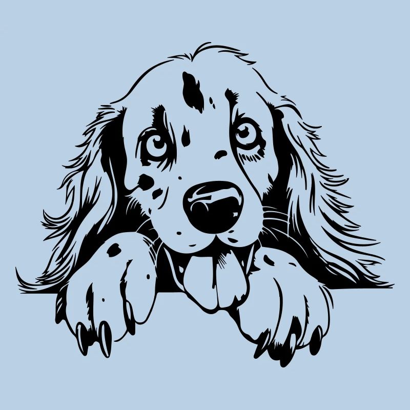 Setter mignon