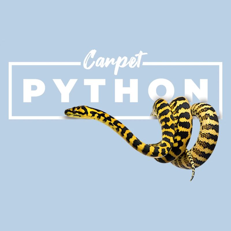 Tapis Python Geometric Reptile Owner