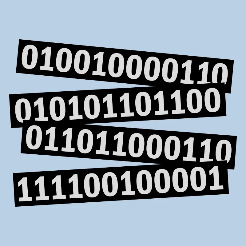 Binary Code Program Language