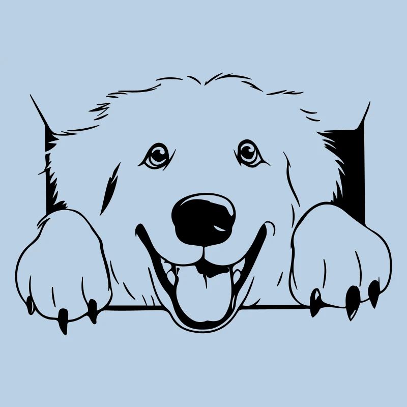 Bouvier des Pyrénées
