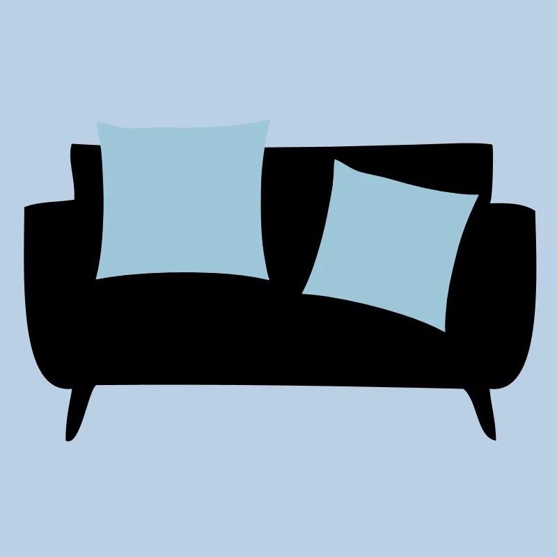 Sleeper sofa & Pillows
