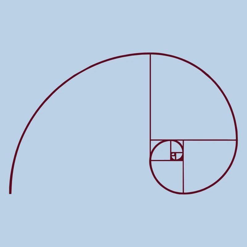 Spirale de Fibonacci, section doré, Phi, evolution