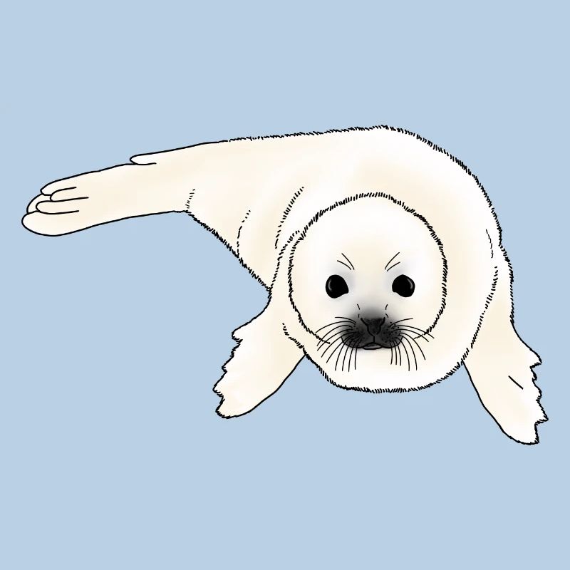 Bébé phoque